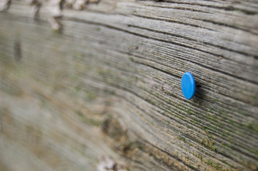 Macro pin on Wood