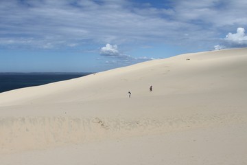 Fototapeta na wymiar la dune du pilat , bassin d'Arcachon