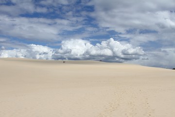 Fototapeta na wymiar la dune du pilat et le banc d'arguin,bassin d'Arcachon