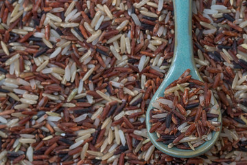 Mix rices : white (jasmine) rice,riceberry and brown rice on blue spoon, on mix rices