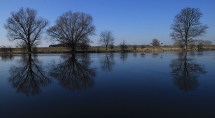 Obraz premium Havellandschaft bei Gülpe