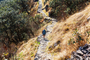 Obraz premium Hike in Himalayas
