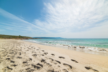 Fototapeta premium footprints in the sand