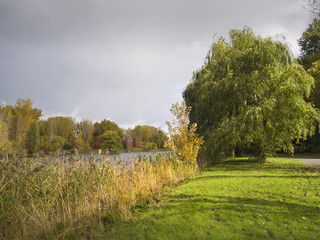 Fototapeta premium Autumn landscape