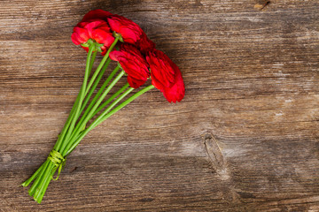 Fototapeta na wymiar red ranunculus flowers