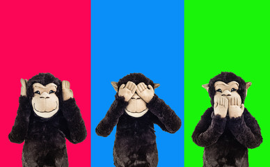 Image result for 3 wise monkeys
