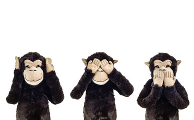 Obraz premium Three wise monkeys. See no evil, hear no evil, speak no evil cartoon monkeys
