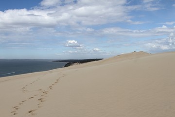 Fototapeta na wymiar la dune du Pilat, bassin d'Arcachon