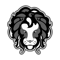 lion's head on a black background