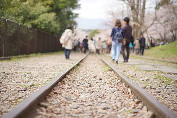 Fototapeta premium 京都 蹴上インクライン 桜