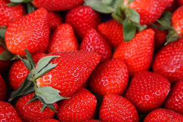 Erdbeeren