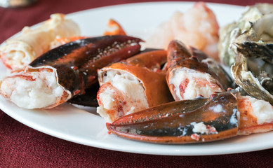 Fototapeta na wymiar Steamed lobster nippers 