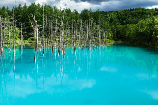 青い池