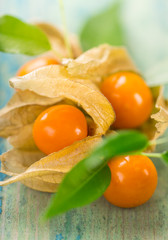 Close-up of Physalis fruits.