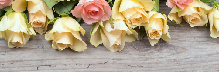 Pink and yellow roses over wooden background