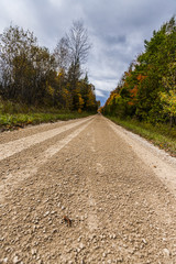 the view down a scenic country roadway in autumn landscape
