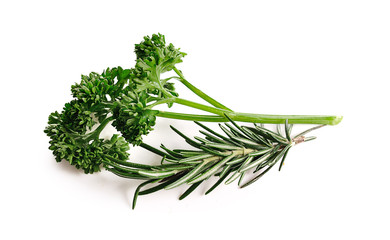 parsley isolated on a white background