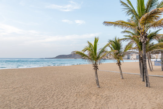 Fototapeta Playa de Las Canteras - beautiful beach in Las Palmas de Gran Canaria