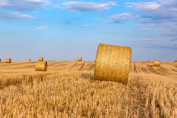 Fototapeta na wymiar Hay bales on the field after harvest