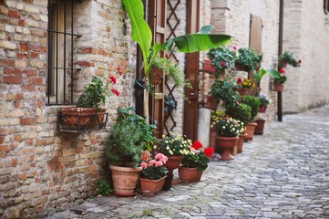 beautiful old Italian street with flowres