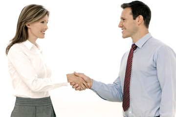 Businessman and businesswoman handshake