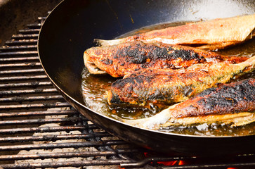 gebratener Fisch 1204a