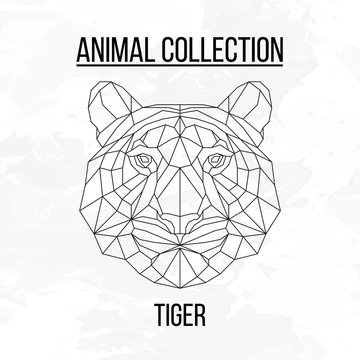 Geometric Animal Tiger Head Background