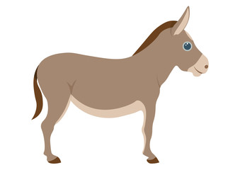 Cute donkey cartoon illustration.