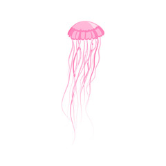 Pink Jellyfish Floating in Space