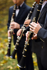 Fototapeta premium group of musicians playing the clarinet.