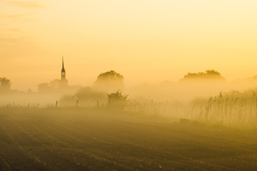 Obraz premium misty, sunny morning in the countryside