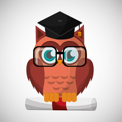 Vector illustration of an Owl, graphic design