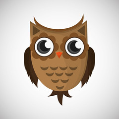 Vector illustration of an Owl, graphic design