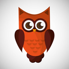 Vector illustration of an Owl, graphic design