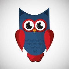 Vector illustration of an Owl, graphic design