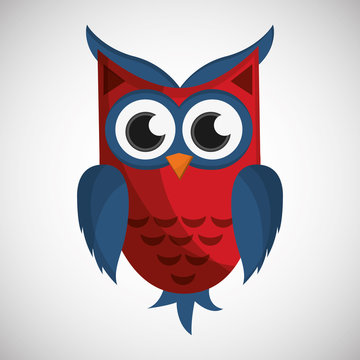 Vector illustration of an Owl, graphic design
