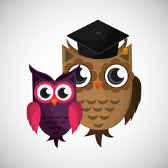 Vector illustration of an Owl, graphic design