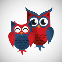 Vector illustration of an Owl, graphic design