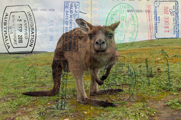 Passport over Australia scenic destination