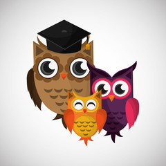 Group of owls, vector illustration, graphic design