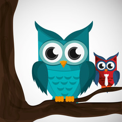 Vector illustration of an Owl, graphic design
