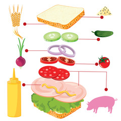 illustration. sandwich on white background.