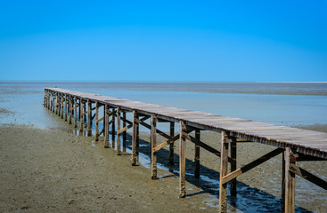 Wooden bridge in mangrove forest with blue sky background.