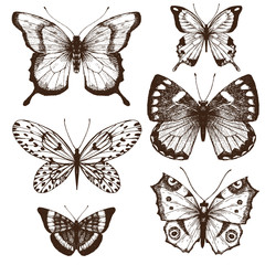 Fototapeta na wymiar Hand drawn butterflies