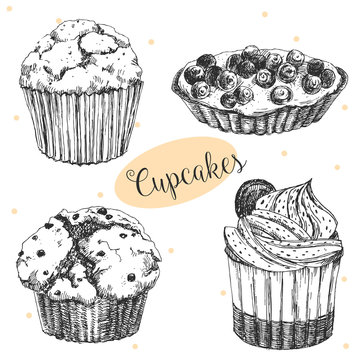 How To Draw Muffins, Muffins, Step by Step, Drawing Guide, by Dawn -  DragoArt