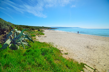 woman walking on the foreshore