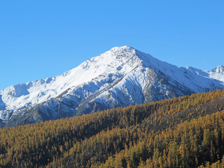 Baimang or Baima (White horse) Snow Mountain, Shangri-La, Yunnan