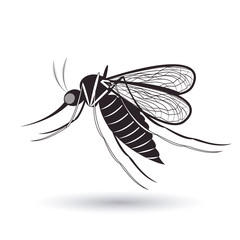 infectious gnat  design 