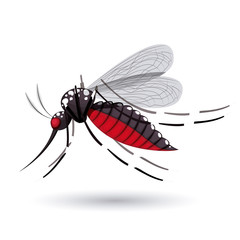 infectious gnat  design 