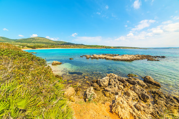 golden sand in Alghero